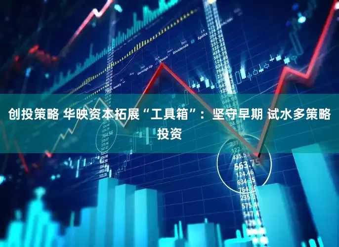 创投策略 华映资本拓展“工具箱”：坚守早期 试水多策略投资